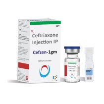 CEFZEN 1GM