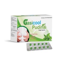 GASICOOL PUDINA